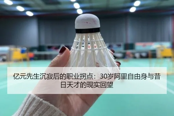 亿元先生沉寂后的职业拐点：30岁阿里自由身与昔日天才的现实回望